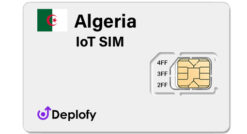 Algeria IoT SIM