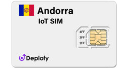 Egypt IoT SIM