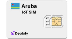 Aruba IoT SIM