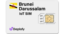 Brunei IoT SIM