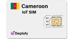 Cameroon IoT SIM