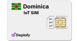 Dominica IoT SIM