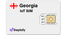 Georgia IoT SIM