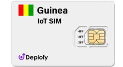 Guinea IoT SIM