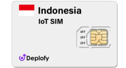 Indonesia IoT SIM