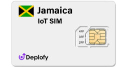 Jamaica IoT SIM