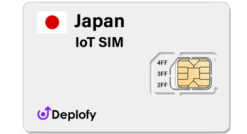 Japan IoT SIM