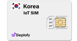 Korea IoT SIM