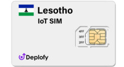 Lesotho IoT SIM