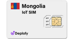 Mongolia IoT SIM