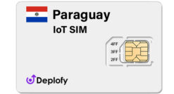 Paraguay IoT SIM