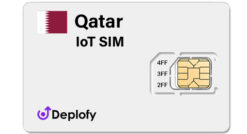 Qatar IoT SIM