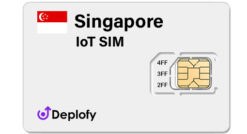 Singapore IoT SIM