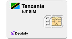 Tanzania IoT SIM