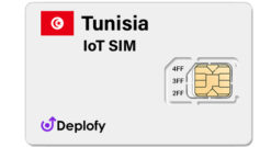 Tunisia IoT SIM