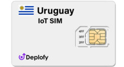 Uruguay IoT SIM
