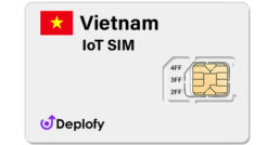 Vietnam IoT SIM